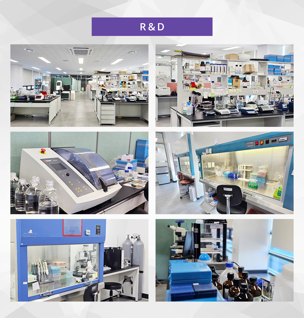 R & D